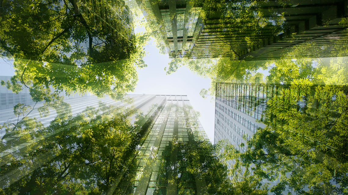Environmental Services